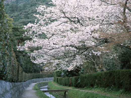 42575 (a): :1600x1200